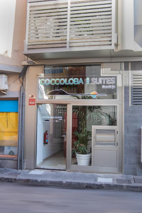 Coccoloba Suites コラレホ エクステリア 写真