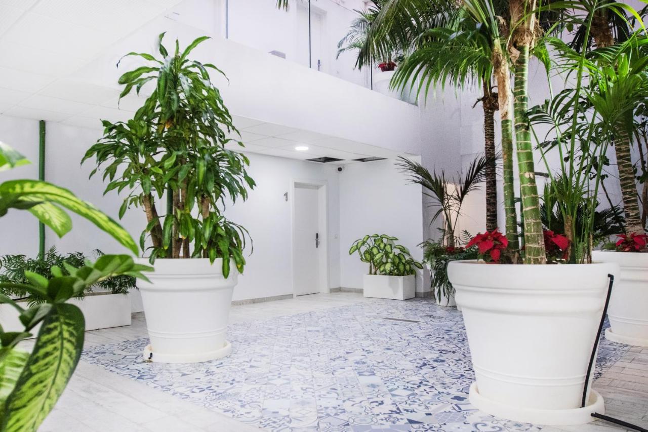 Coccoloba Suites コラレホ エクステリア 写真