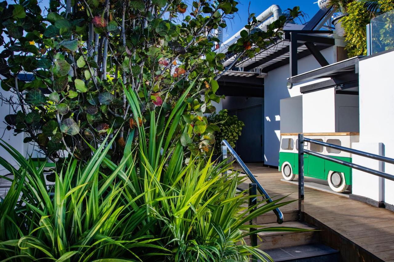 Coccoloba Suites コラレホ エクステリア 写真