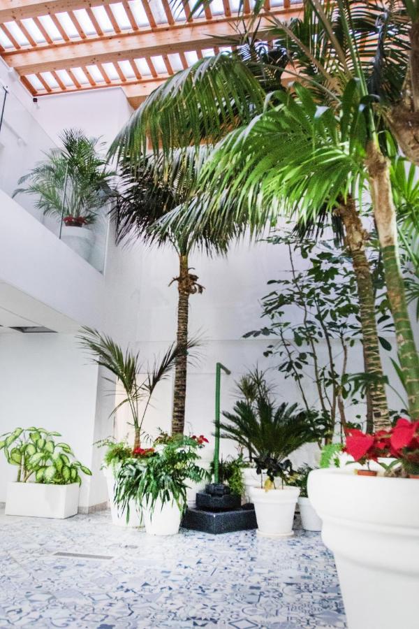 Coccoloba Suites コラレホ エクステリア 写真
